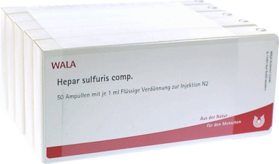 Hepar Sulfuris Comp. (PZN 02233955)
