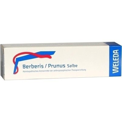 Berberis/prunus (PZN 01627706)