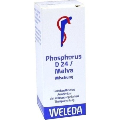 Phosphorus D 24/ Malva Dil. (PZN 01402634)