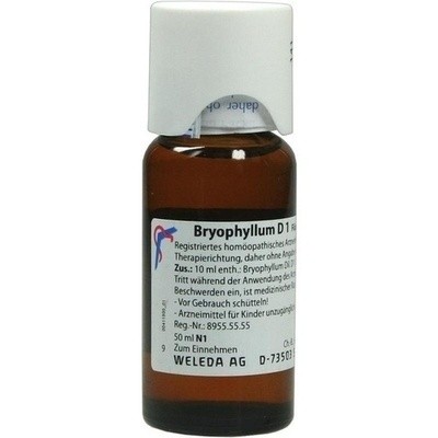 Bryophyllum D 1 Dil. (PZN 01613087)