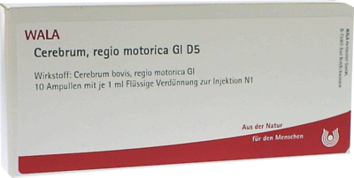 Cerebrum Regio Motor Gl D 5 Amp. (PZN 03359836)
