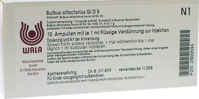 Bulbus Olfactorius Gl D 5 Amp. (PZN 02909594)