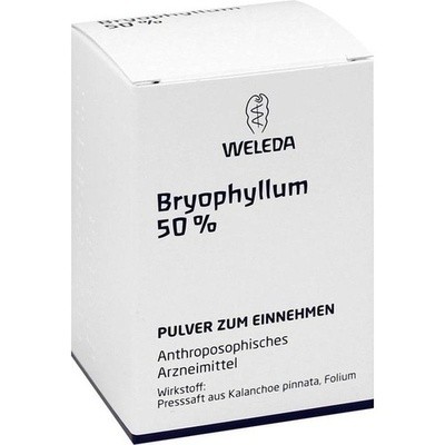 Bryophyllum 50% Pulver zum Einnehmen (PZN 01631441)