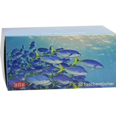 Taschentuchbox 30er (PZN 04919504)
