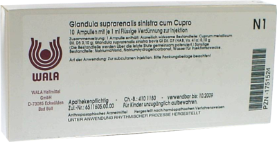 Glandula Supraren. Sinis. Cum Cupro Amp. (PZN 01751524)