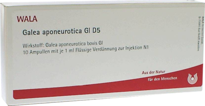 Galea Aponeurotica Gl D5 (PZN 04618381)