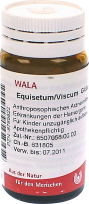 Equisetum/viscum (PZN 08785822)