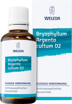Bryophyllum Argento Cultum Dilution D 2 (PZN 01571911)