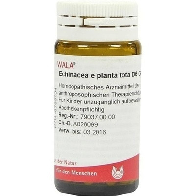 Echinacea E Planta Tota D6 (PZN 08785704)