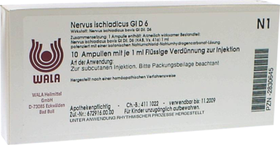 Nervus Ischiadicus Gl D 6 Amp. (PZN 02830645)