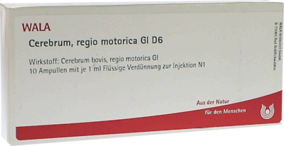 Cerebrum Regio Motor Gl D 6 Amp. (PZN 03359842)