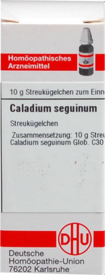 Caladium Seguinum C 30 (PZN 04209613)
