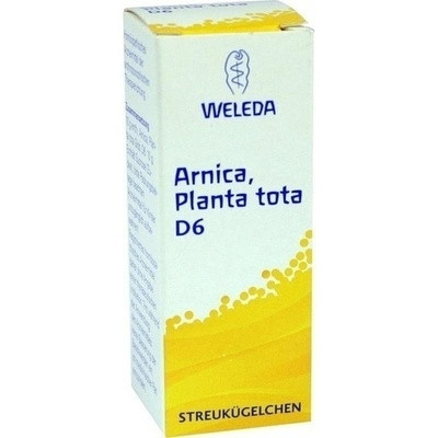 Arnica Planta Tota D6 (PZN 07019511)