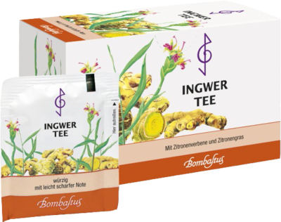 Ingwer Tee (PZN 06902703)